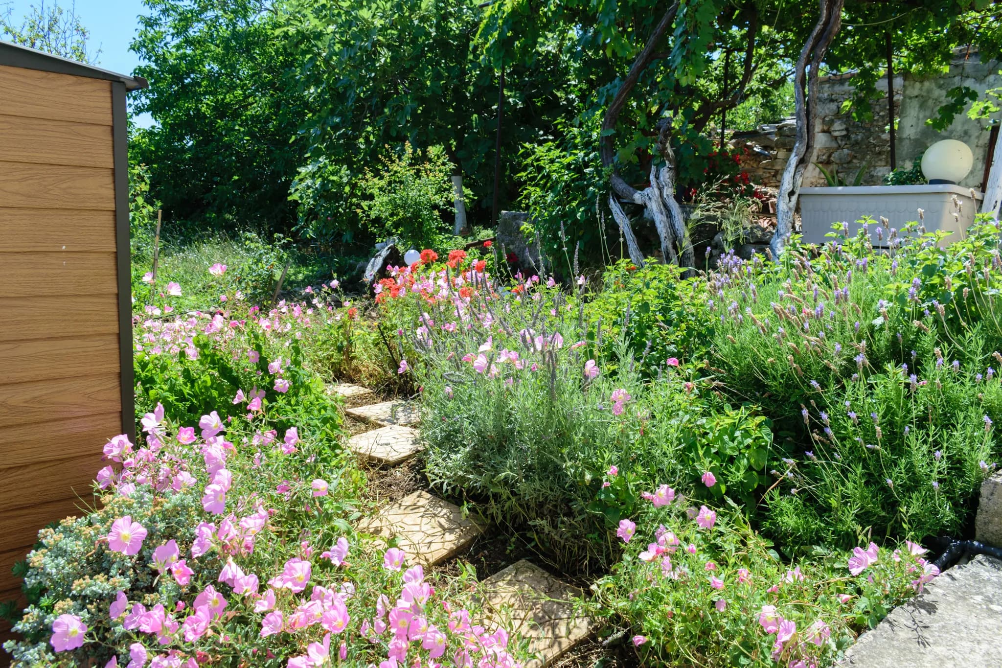 Flower pot view of Casa Vasilia